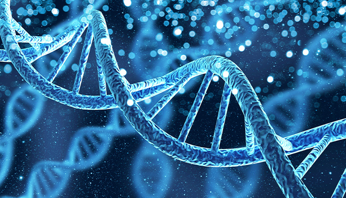 Cross-Species DNA Sequence Classification using K-mer Analysis